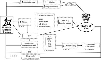 Physical training in adults with asthma: An integrative approach on strategies, mechanisms, and benefits